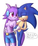 sash lilac from freedom planet by colormute
