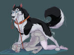 anon from balto (film)