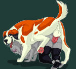 anon anonymous_female bestiality cajuzinho02 canine canine_genitalia canine_penis dog female_human feral feral_on_female feral_on_human feral_penetrating_female feral_penetrating_human interspecies knot knotted_penis male_feral saint_bernard submissive_female vaginal vaginal_penetration