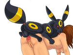 anon from pokemon