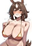 sirius symboli (umamusume) from umamusume by iog626