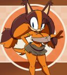 sticks the badger from sega by blackchaos64