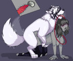 anon from zenless zone zero