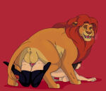 anonymous from disney