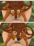 bambi_(film) bestiality cajuzinho02 deer female_human female_pov feral feral_on_female feral_on_human licking licking_pussy male/female male_feral pov pov_eye_contact pussylicking the_great_prince_of_the_forest
