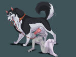 anon from balto (film)