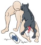  bestiality canine cum dog fellatio from_behind from_behind_position knot knotted_penis no_face pills viagra 