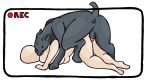  bestiality canine dog feral_on_female feral_on_human feral_penetrating knotted recording submissive_female 