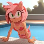 amy rose from sega by dragonsoul2875