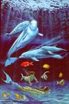 carlos_cartagena dolphin fish mermaid underwater