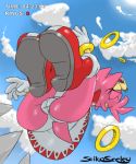 amy_rose ass furry jiky panties seikoseeley sonic_(series) sonic_team upskirt