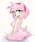 amy_rose apinkgrape furry nipples sega sonic_the_hedgehog_(series) tagme