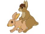 bigwig from watership down