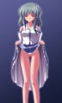kochiya sanae from touhou by subaru noji