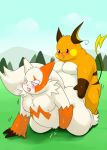 pokemon raichu tagme zangoose