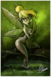 2008 ass breasts disney disney_fairies fairy fernando_faria_(artist) nude peter_pan small_breasts tinker_bell