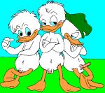  dewey_duck disney ducktales huey_duck louie_duck mouseboy penis quack_pack 