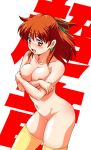 anise_farm big_breasts brown_hair covering_breasts nipples nude_female shiny_skin sonic_soldier_borgman yellow_legwear