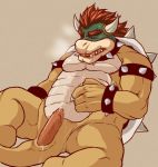bowser from mario (series)