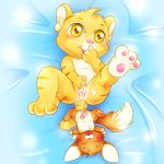  after_sex cum faellie furry kougra maverick neopets on_back 