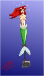  2008 disney lute_(artist) mermaid princess_ariel the_little_mermaid 
