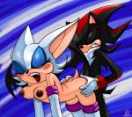 2008 animals artist_name blue_eyes dark_nipples doggy_position fang from_behind furry nancher red_eyes rouge_the_bat sega sex shadow_the_hedgehog sonic sonic_*(series) sonic_the_hedgehog_(series) teeth