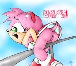 amy rose from sega by drs