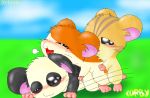 black_fur curby hamtaro panda-kun torahamu-kun whiskers