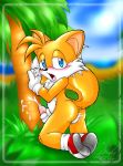 miles "tails" prower from sonic (series)
