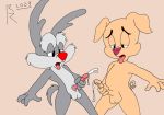   calamity_coyote yaoi hamton_j_pig rave_roo tiny_toon_adventures  