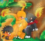  charmander nintendo pokemon raukue 