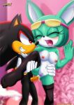  archie_comics bbmbbf mobius_unleashed palcomix sega shadow_the_hedgehog sonar_the_fennec sonic_the_hedgehog_(series) 