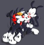 animaniacs dot_warner tagme wakko_warner yakko_warner