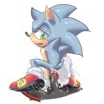 shadow the hedgehog from sega