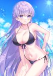 1girl 1girl 1girl absurd_res alluring alternate_costume arm_at_side bangs beach big_breasts bikini black_bikini black_swimsuit braid breasts commission eyebrows_visible_through_hair female_only fire_emblem fire_emblem:_the_binding_blade front-tie_bikini front-tie_top halterneck high_res light_smile long_hair looking_at_viewer nintendo outside parted_lips purple_eyes purple_hair samidareame side-tie_bikini side_braid sitting skeb_commission sophia_(fire_emblem) swimsuit very_long_hair