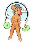 furry kit_cloudkicker solo talespin