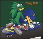 gree jet_the_hawk sonic sonic_riders sonic_team sonic_the_hedgehog taison yaoi