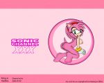 1280x1024 5:4 amy_rose hellfire hellfire_(artist) sega solo sonic_(series) sonic_channel sonic_team wallpaper zetar02 zetar02_(artist)