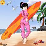  american_dad ass beach black_hair bodysuit breasts dolphin gwen_ling nipples seagulls sun surfboard thighs 