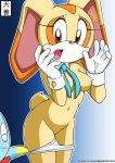 belly cheese_the_chao cream_the_rabbit furry midriff navel nude panty_pull sonic sonic_team tenzen text