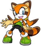  female gloves marine_the_raccoon solo sonic_(series) 