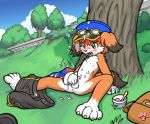 canine furry yaoi male masturbation outdoor outdoors tagme tail_concerto