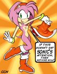 amy rose from sega by ccn