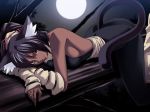  bleach kagami_(artist) moonlight solo tail yoruichi_shihouin 