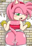 amy_rose ass bbmbbf hairless_pussy mobius_unleashed palcomix pussy pussy_juice sega sonic_(series) sonic_the_hedgehog_(series) wall