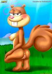 1girl 1girl 1girl anthro anus ass bbmbbf blush breasts female_only furry looking_at_viewer nickelodeon nipples nude palcomix palcomix pussy rodent sandy_cheeks spongebob_squarepants squirrel teeth