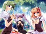  3girls bento_box_(food) blue_eyes bow fuyou_kaede green_hair multiple_girls nishimata_aoi non-web_source official_art orange_hair picnic pointy_ears primula purple_eyes purple_hair school_uniform shigure_asa shuffle! suzuhira_hiro twintails yellow_bow 