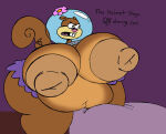 1girl belly breasts buckteeth color colored deviantart deviantart_url english english_text erect_nipples furry furry_female gigantic_areola gigantic_breasts gigantic_nipples helmet huge_ass huge_belly large_nipples nickelodeon nicktoons nipple_slits puffy_nipples purple_background sandy_cheeks sinkcandycentral skirt spongebob_squarepants tail text thick_thighs