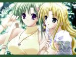  2girls bare_shoulders blonde_hair breasts green_eyes green_hair hentai kareha large_breasts multiple_girls official_art pointy_ears purple_eyes shigure_asa shuffle shuffle! suzuhira_hiro wallpaper yuri 