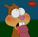 fellatio fellatio furry licking_penis looking_at_another looking_at_partner nickelodeon nicktoons parody patrick_star penis sandy_cheeks spanky15 spongebob_squarepants squirrel tongue united_plankton_productions